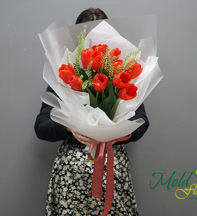 Bouquet of 11 Red Tulips photo 394x433